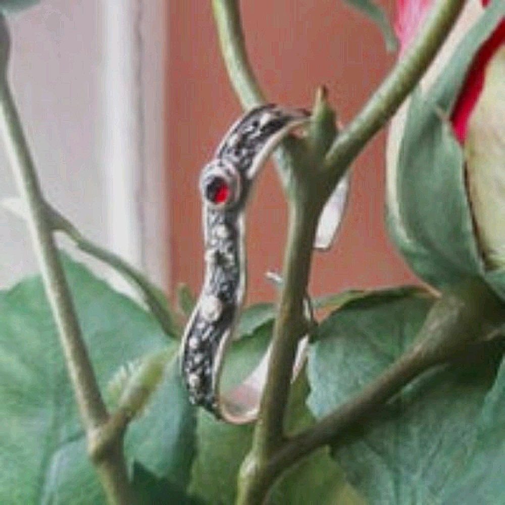 Interesting Piece: Double Silver Ring - image 6